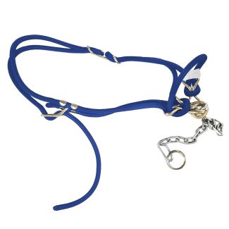 Halter Hackamore Bull Blue