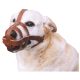 Dog Muzzle Leather Medium