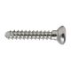 Bone Screw Cort 2.4mm X 10mm S/Tap