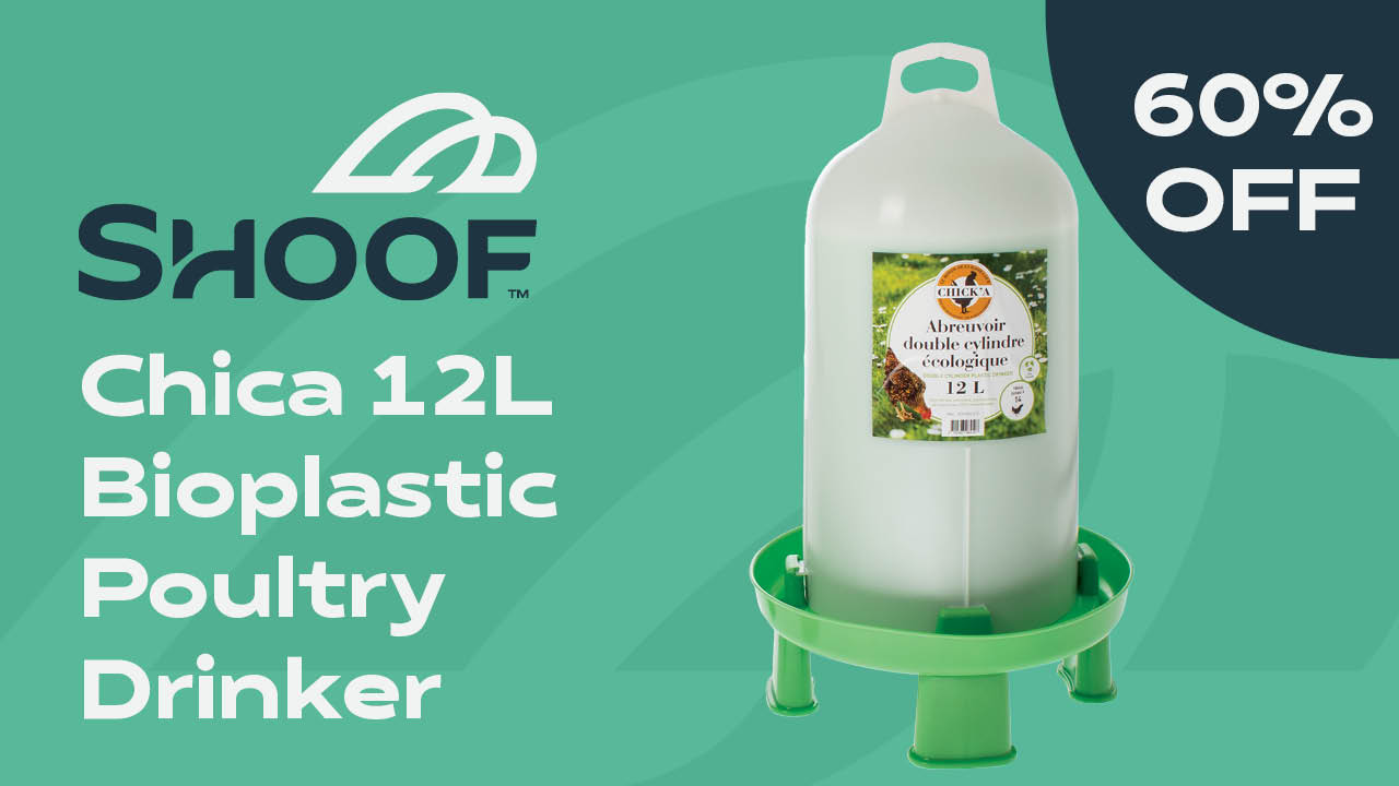 Chica Poultry Drinker