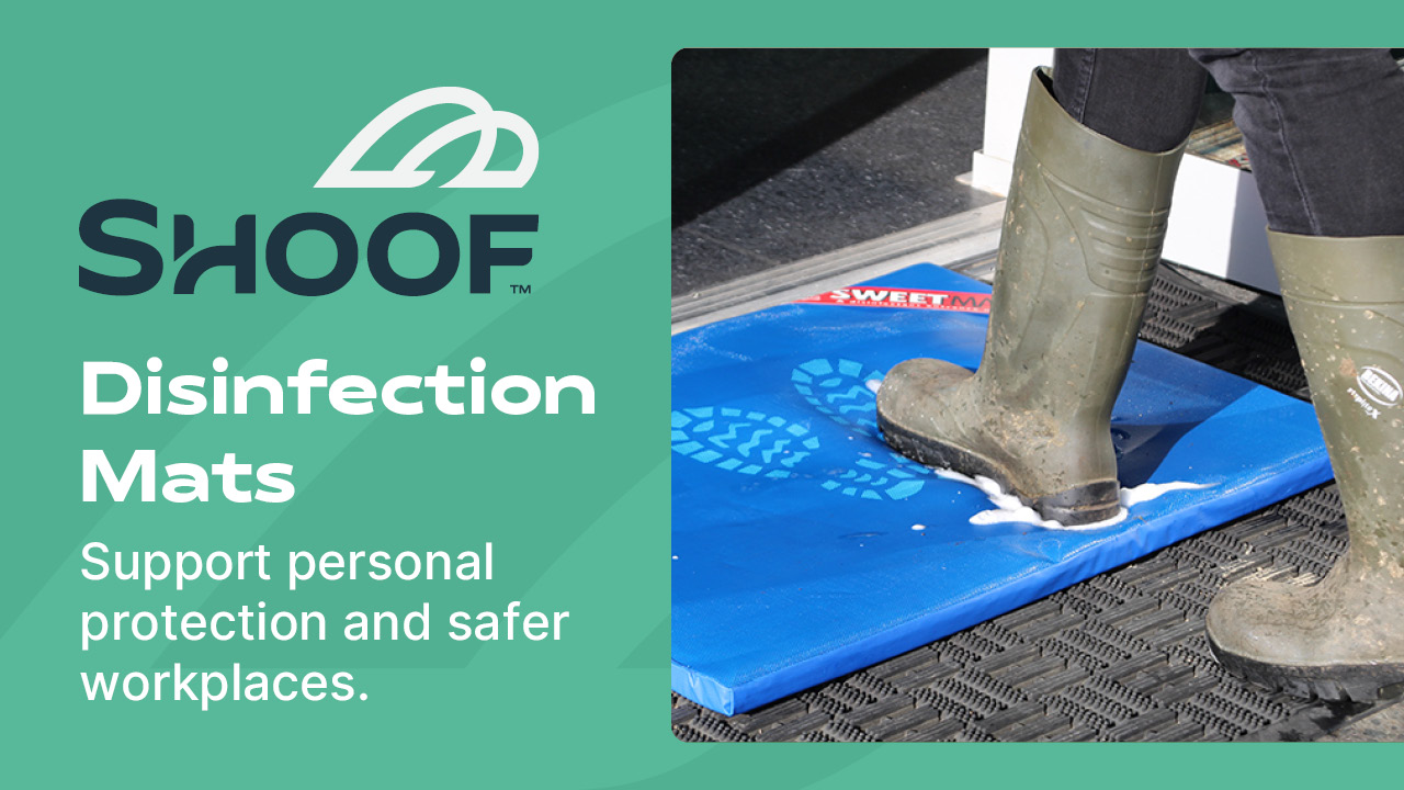 Disinfection Mats